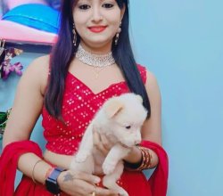Patna Call Girls, Escorts profile image – Patna Escort Indian Sexy Call Girls Whatsapp Number | Online Girls Phone Number 20 profile photo for Call Girls, Escorts in Patna